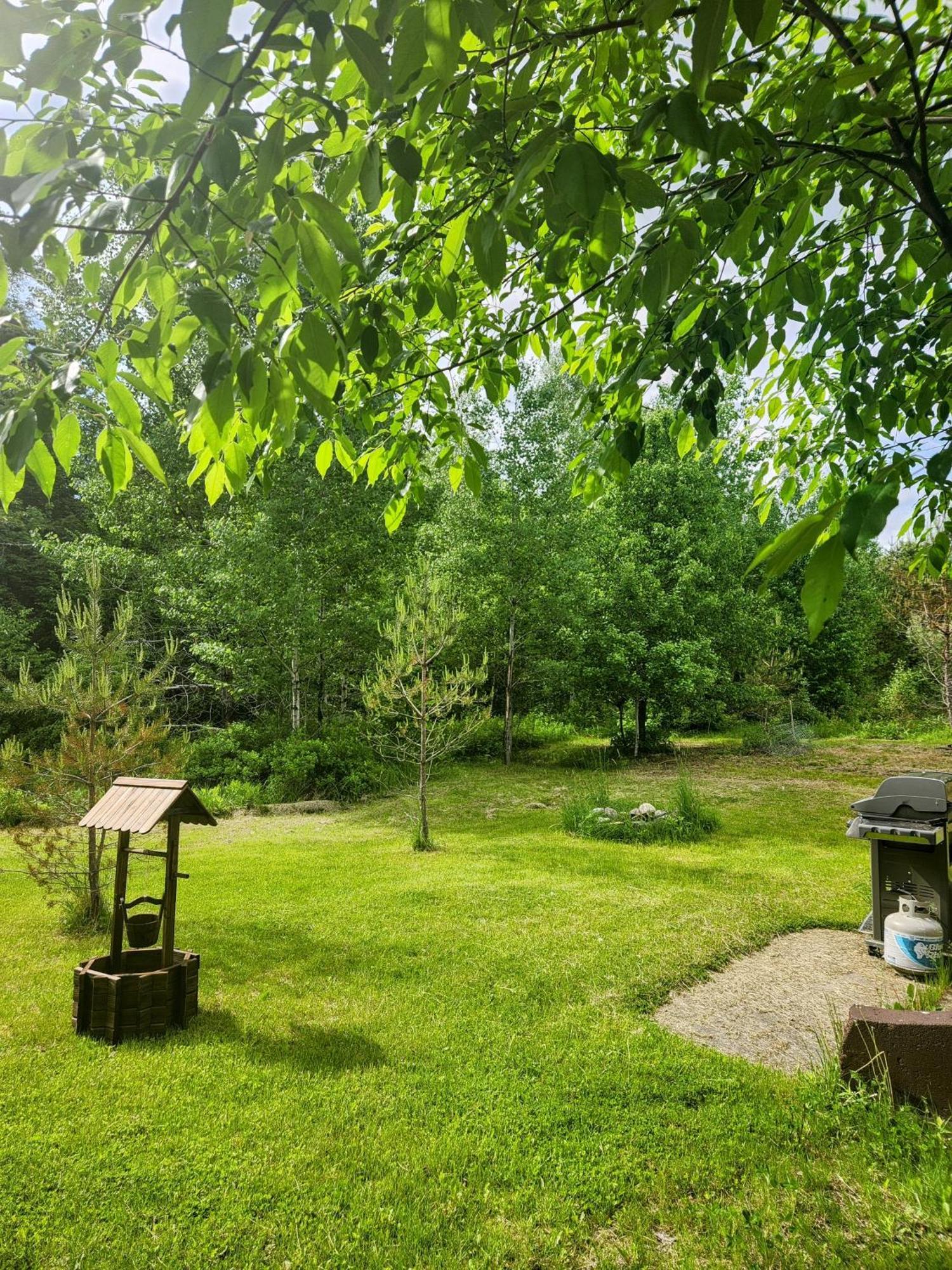 Backyard Bliss In The White Mountains Villa Lincoln Luaran gambar