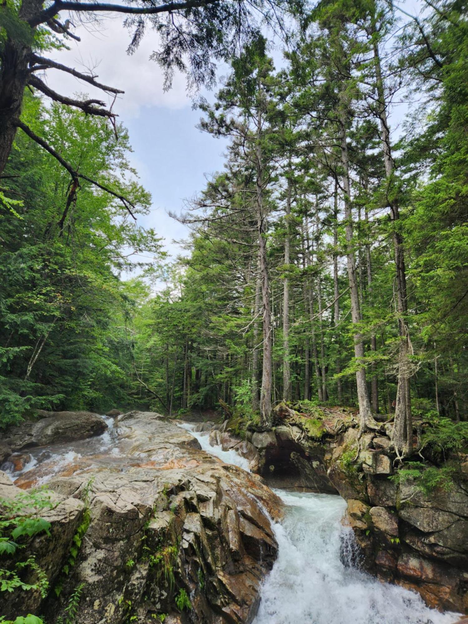 Backyard Bliss In The White Mountains Villa Lincoln Luaran gambar